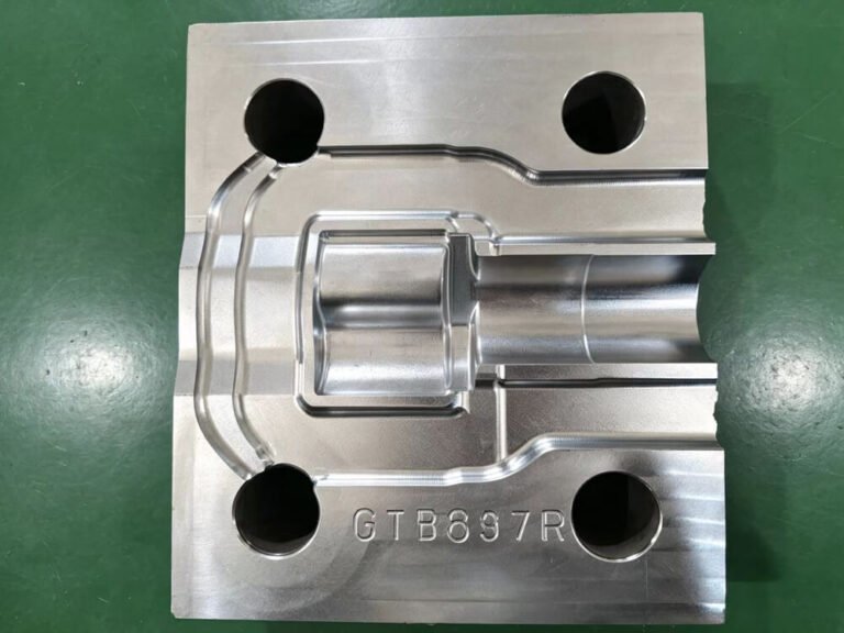 Stamping Die Forming Insert (2)