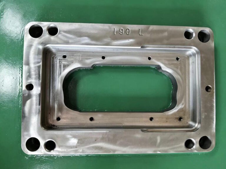 Stamping Die Insert (1)